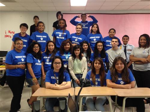 NHS Husky Assistance Team 